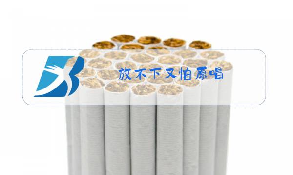 放不下又怕原唱图片