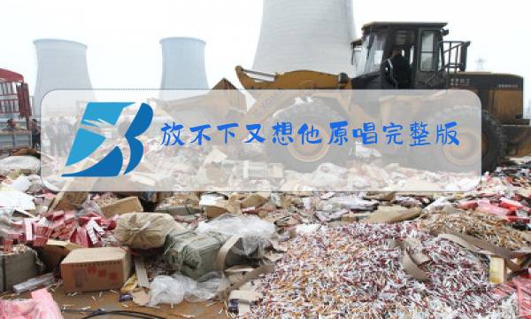 放不下又想他原唱完整版歌词图片