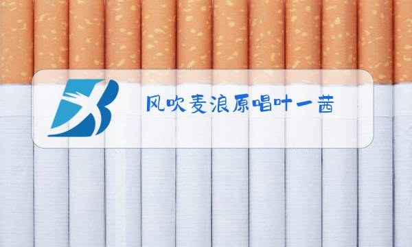 风吹麦浪原唱叶一茜图片