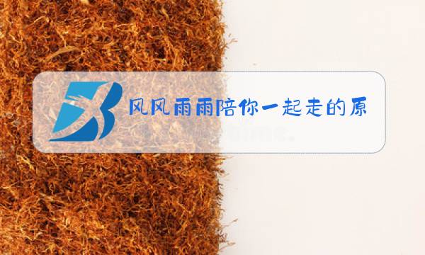 风风雨雨陪你一起走的原唱图片