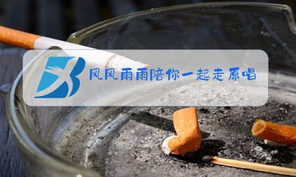 风风雨雨陪你一起走原唱男女对唱?图片