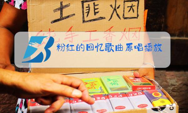 粉红的回忆歌曲原唱播放甜蜜蜜图片