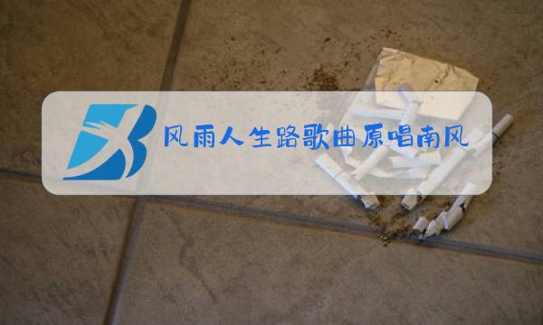 风雨人生路歌曲原唱南风图片
