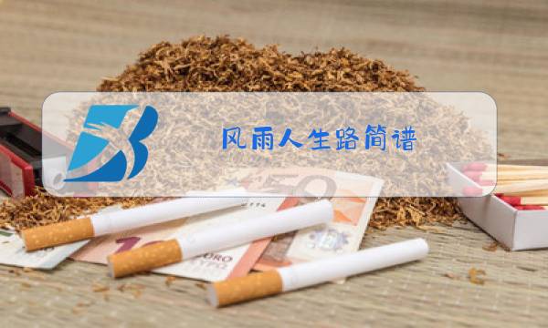 风雨人生路简谱(原唱版)图片