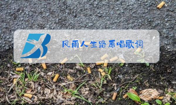 风雨人生路原唱歌词图片