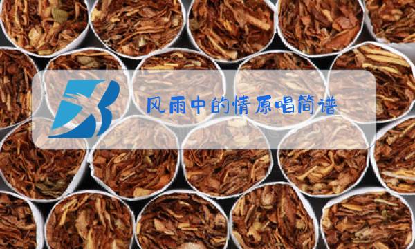 风雨中的情原唱简谱图片
