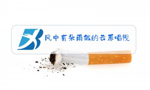 风中有朵雨做的云原唱视频图片
