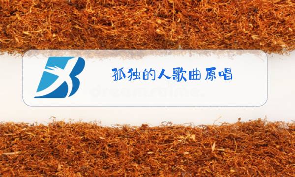 孤独的人歌曲原唱图片