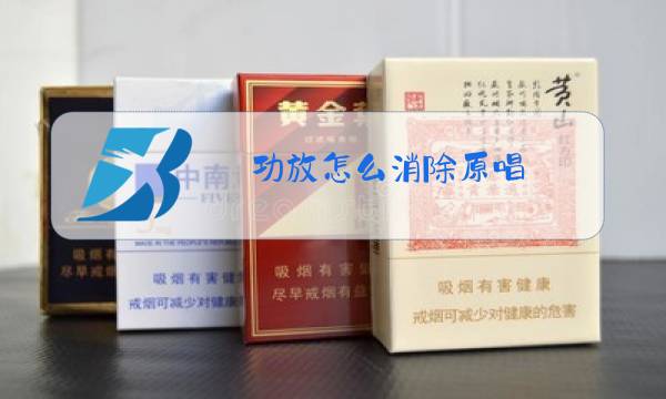 功放怎么消除原唱图片