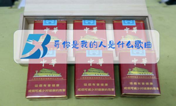哥你是我的人是什么歌曲原唱图片