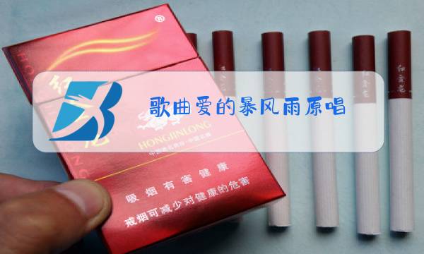 歌曲爱的暴风雨原唱图片