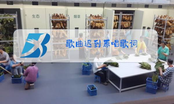 歌曲迟到原唱歌词图片