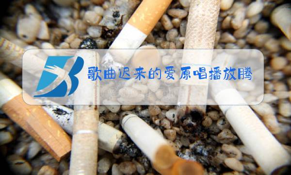 歌曲迟来的爱原唱播放腾讯网图片