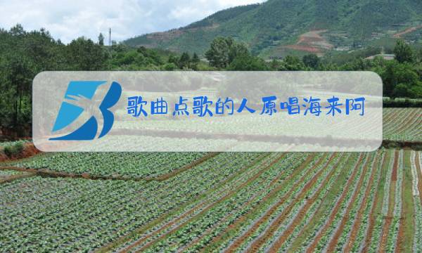 歌曲点歌的人原唱海来阿木视频图片