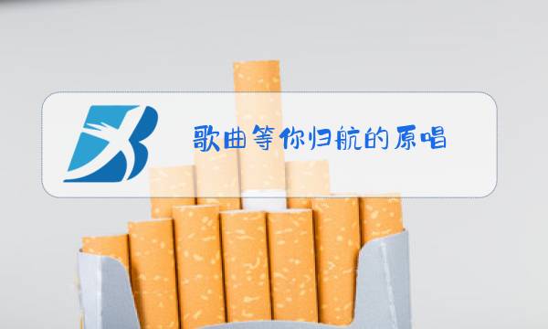 歌曲等你归航的原唱图片