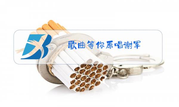 歌曲等你原唱谢军图片