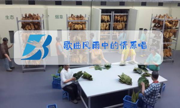 歌曲风雨中的情原唱图片
