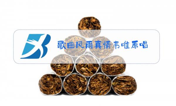 歌曲风雨真情韦唯原唱图片
