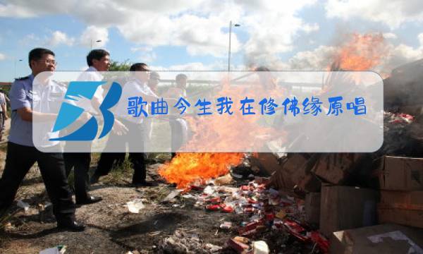 歌曲今生我在修佛缘原唱视频图片