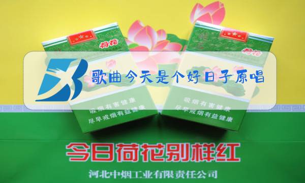 歌曲今天是个好日子原唱歌普图片
