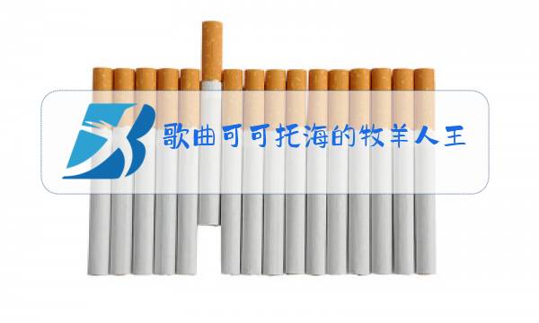 歌曲可可托海的牧羊人王琪原唱歌词图片