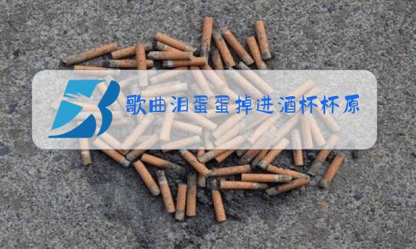 歌曲泪蛋蛋掉进酒杯杯原唱简普图片