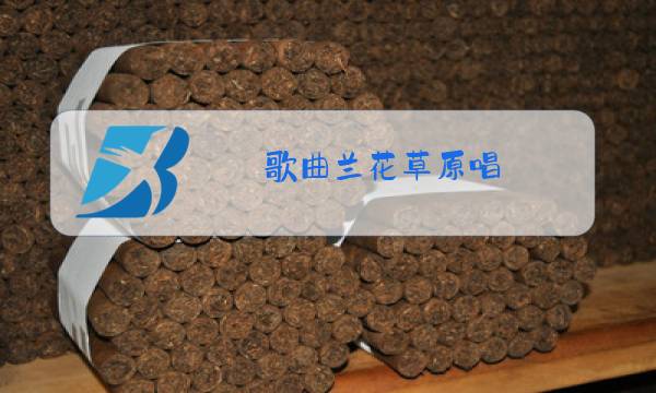 歌曲兰花草原唱图片