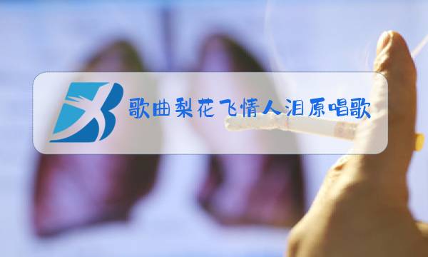 歌曲梨花飞情人泪原唱歌词图片