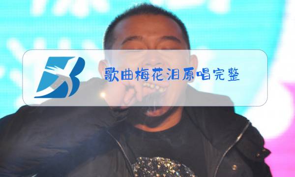 歌曲梅花泪原唱完整图片