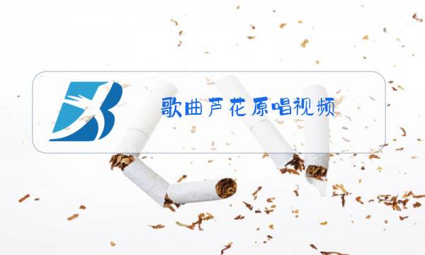 歌曲芦花原唱视频图片