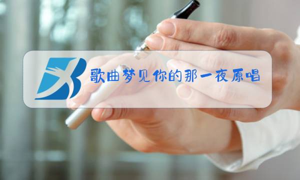 歌曲梦见你的那一夜原唱歌词图片