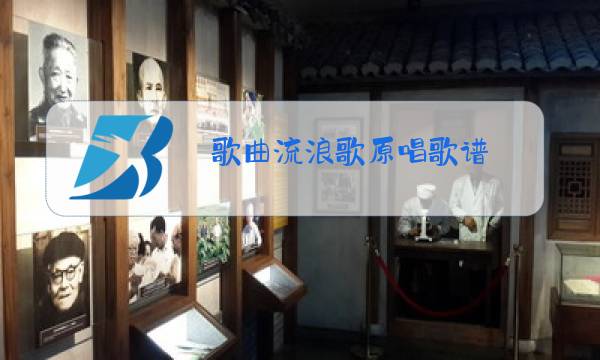 歌曲流浪歌原唱歌谱图片