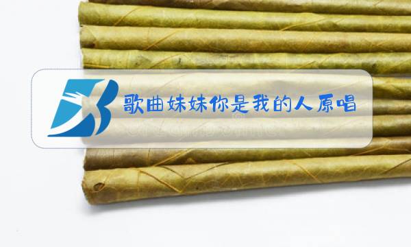 歌曲妹妹你是我的人原唱DJ图片