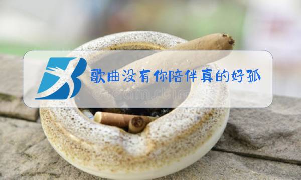 歌曲没有你陪伴真的好孤单原唱图片