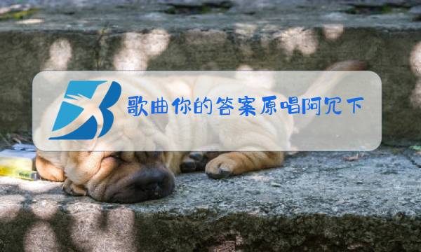 歌曲你的答案原唱阿冗下载图片