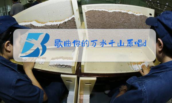 歌曲你的万水千山原唱dj图片