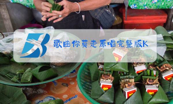 歌曲你莫走原唱完整版K歌图片