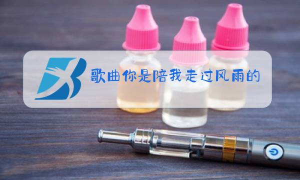 歌曲你是陪我走过风雨的人原唱视频图片