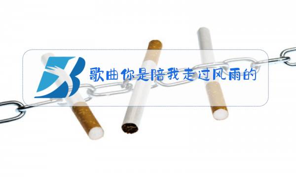 歌曲你是陪我走过风雨的人原唱词曲图片