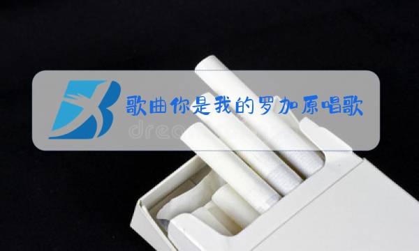 歌曲你是我的罗加原唱歌曲图片