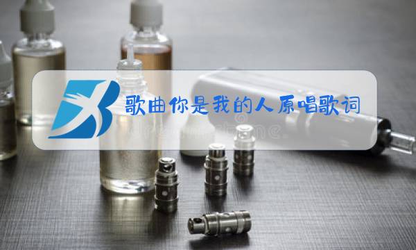 歌曲你是我的人原唱歌词图片