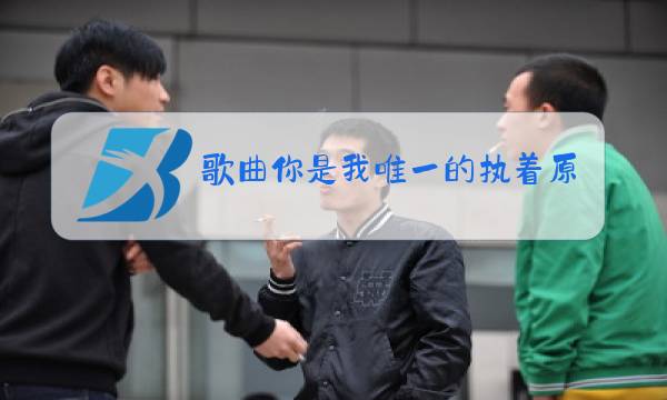 歌曲你是我唯一的执着原唱山东省包括哪些市图片