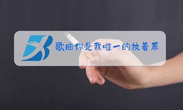 歌曲你是我唯一的执着原唱是谁图片