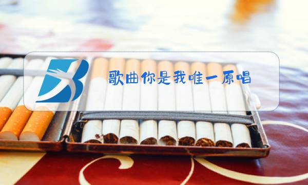 歌曲你是我唯一原唱图片