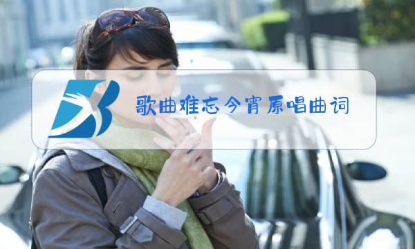 歌曲难忘今宵原唱曲词图片