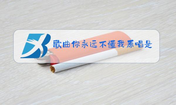 歌曲你永远不懂我原唱是谁图片