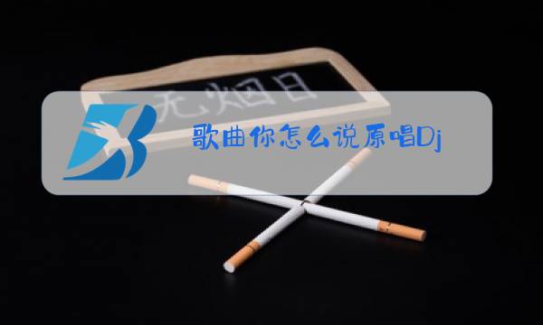 歌曲你怎么说原唱Dj图片