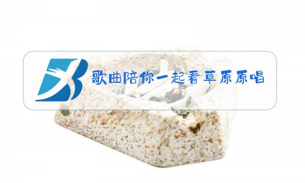 歌曲陪你一起看草原原唱yunfei图片