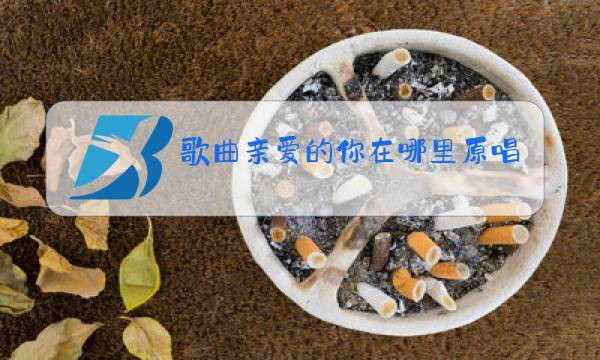 歌曲亲爱的你在哪里原唱图片