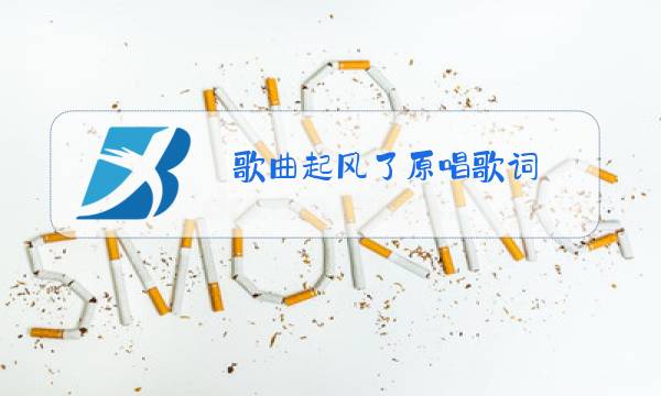 歌曲起风了原唱歌词图片